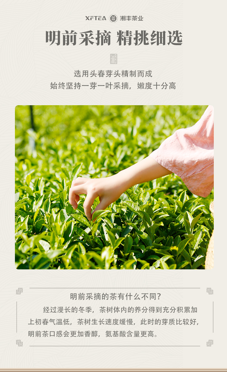 為人民服務(wù)50毛尖茶詳情頁(yè)_02.jpg