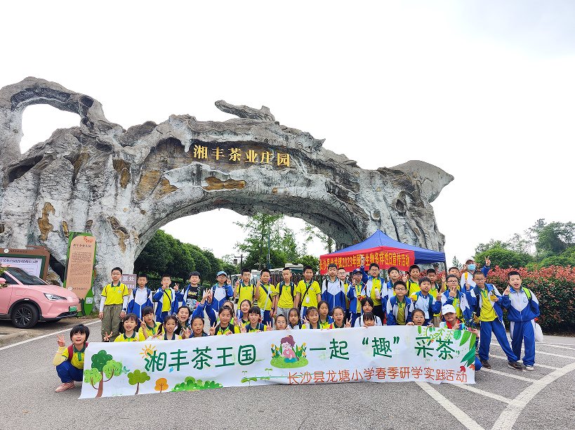 “湘豐茶業莊園游客持續暴漲”第九屆茶文化旅游節后迎來第一波高峰! “湘豐茶業莊園游客持續暴漲”第九屆茶文化旅游節后迎來第一波高峰!