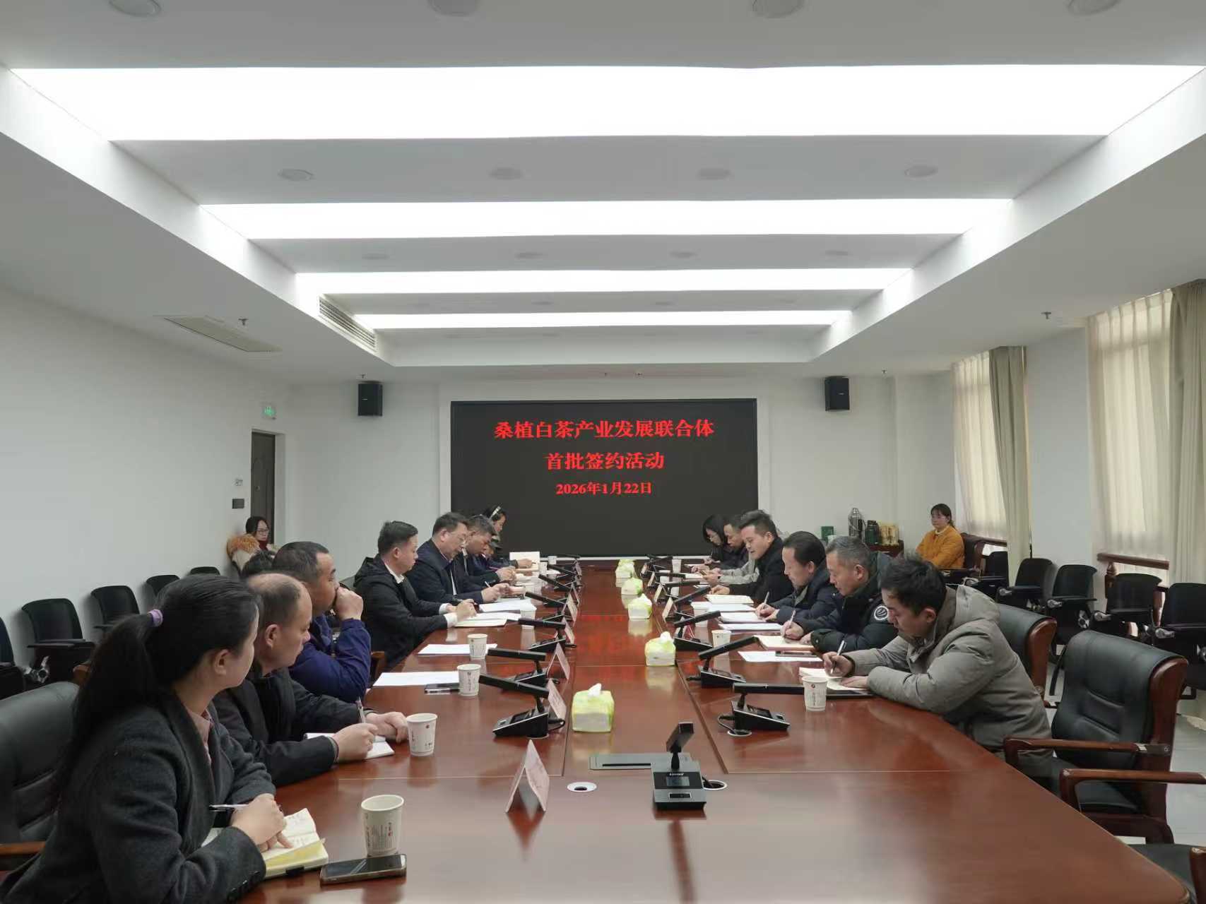 湘豐桑植白茶公司牽頭組建桑植白茶產業(yè)發(fā)展聯(lián)合體 首批簽約開啟協(xié)同共贏新征程