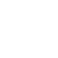 集團(tuán)實(shí)力